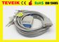 Câble d'électrocardiogramme de Nihon Kohden pour ECG-9130P ECG-9620P Cardiofax Q ECG-9110K Cardiofax Q ECG-9130K