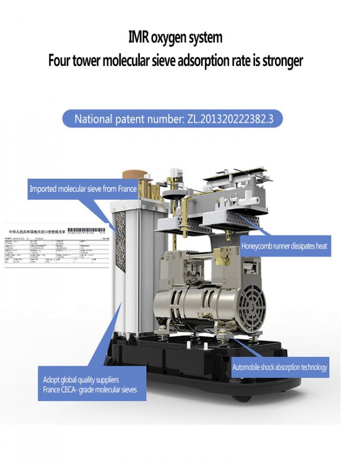 Catégorie médicale de l'oxygène d'usine de petit prix d'oxygène-concentrateur médical portatif du concentrateur 10litar